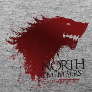 GAME OF THRONES - Tshirt - Póló "The North…" man SS sport grey - basic (L-es méret) - Abystyle Ajándéktárgyak