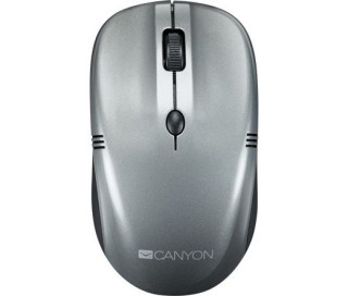 Canyon CNE-CMSW03DG wireless mouse Dark Grey PC