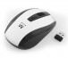 Ewent EW3236 wireless mouse White/Black thumbnail