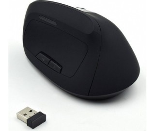 Ewent EW3158 Wireless Ergonomic mouse Black PC