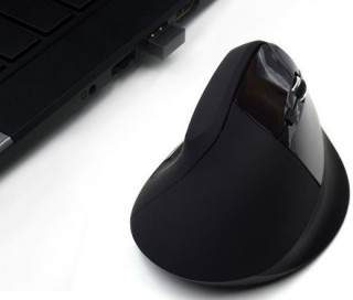 Ewent EW3158 Wireless Ergonomic mouse Black PC