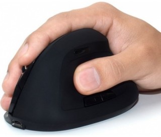 Ewent EW3158 Wireless Ergonomic mouse Black PC