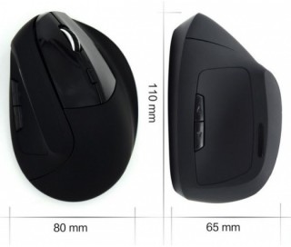 Ewent EW3158 Wireless Ergonomic mouse Black PC