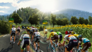 Pro Cycling Manager 2018 (PC) (Letölthető) PC