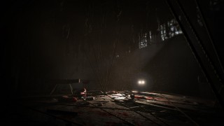 Outlast: Whistleblower DLC (PC) Steam (Letölthető) PC