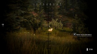 Hunting Simulator 2 Bear Hunter Edition (Letölthető) PC