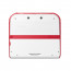 Nintendo 2DS (White and Red) thumbnail