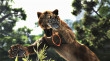 Cabela's Dangerous Hunts 2013 thumbnail