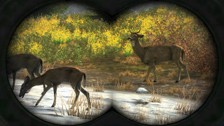 Cabela's Dangerous Hunts 2013 Wii