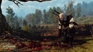 The Witcher III: Wild Hunt (PC) Letölthető PC