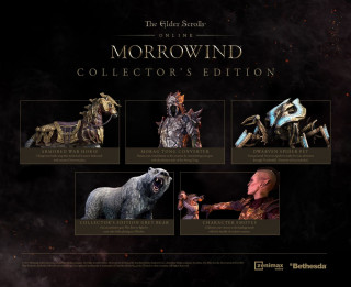 The Elder Scrolls Online - Morrowind Digital Collector's Edition (PC/MAC) DIGIT PC