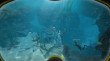 World of Diving (PC) DIGITÁLIS thumbnail