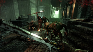 Warhammer: End Times - Vermintide Collector's Edition (PC) DIGITÁLIS PC