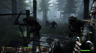 Warhammer: End Times - Vermintide Collector's Edition (PC) DIGITÁLIS PC