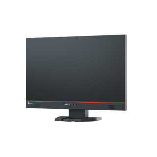 EIZO 24" FS2434 GAMING monitor PC