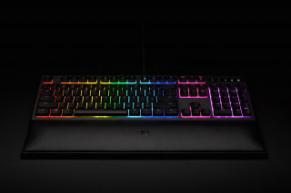 Razer Ornata Chroma (RZ03-02040100-R3M1) PC