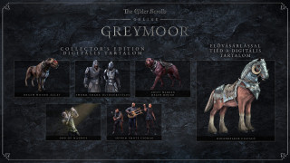 The Elder Scrolls Online: Greymoor Collector’s Edition Upgrade PS4