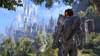 The Elder Scrolls Online: Summerset Collectors Edition PS4