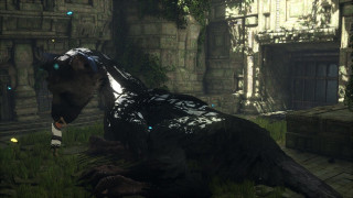 The Last Guardian PS4