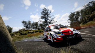 WRC 10 FIA World Rally Championship PS5