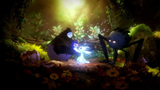 Ori and the Will of the Wisps Nintendo Switch