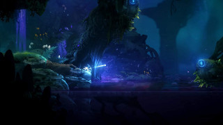 Ori and the Will of the Wisps Nintendo Switch