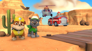 Paw Patrol: On A Roll Nintendo Switch