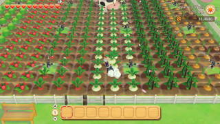 Story of Seasons: Pioneers of Olive Town Nintendo Switch