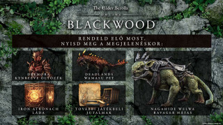 The Elder Scrolls Online Collection: Blackwood Xbox Series